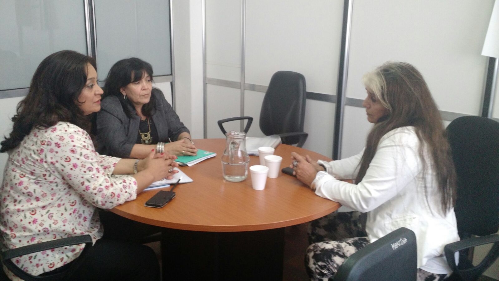 La Dra. María Graciela Iglesias junto a las legisladoras rionegrinas Pereira y Fernández